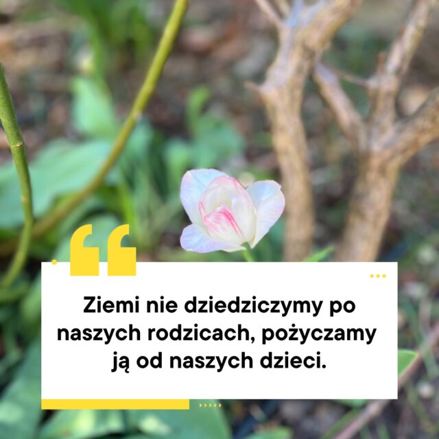 🌍 22 kwietnia obchodziliśmy Dziań Ziemi. 💚 

🍀 Gdy akcje sprzątania świata i sadzenia drzew są w tym dniu bardzo powszechne, to lista absurdów z naszego polskiego podwórka wciąż zaskakuje:

📍 Rekordowy wzrost zakupów na platformie TEMU Mimo rosnącej świadomości ekologicznej, Polacy masowo korzystają z platformy TEMU, która w marcu 2025 przyciągnęła aż 18,1 mln użytkowników, wyprzedzając Allegro i stając się najpopularniejszym serwisem e-commerce w kraju. 

📍 Konsumpcji tekstyliów - Przeciętny Polak kupuje rocznie ok. 26kg ubrań. W Polsce rocznie wyrzucamy aż 418 tysięcy ton tekstyliów, co odpowiada 11 kilogramom na osobę. 

📍 Marnotrawienie jedzenia na rekordowym poziomie W Polsce rocznie marnuje się ok. 5 milionów ton żywności. Przeciętnie na jednego Polaka przypada 126 kg zmarnowanej żywności, przy czym 92 kg marnowane jest w domach. W gospodarstwach domowych marnuje się prawie 3 miliony ton żywności rocznie.

📍 Segregacja odpadów - W 2023 roku 96% Polaków deklarowało segregowanie odpadów, ale tylko 28% wytworzonych odpadów komunalnych trafiło do recyklingu. Statystyczny mieszkaniec Polski wytworzył 355 kg śmieci rocznie.

🧐 Warto na chwilę zatrzymać się i zastanowić, jaki wpływ na środowisko mają nasze codzienne wybory. Każdy z nas, nawet drobnymi działaniami, może wspierać dobrostan naszej planety.

🌱 A Ty? Masz swoje sprawdzone eko-nawyki? Podziel się nimi w komentarzu – zainspiruj innych do dbania o Ziemię! 🌍💚

#ecodesign #ESG #zmiana #madeinpoland #polska #Rzemiosło #odpowiedzialnamoda #upcykling #rekodzieło #dzienziemi